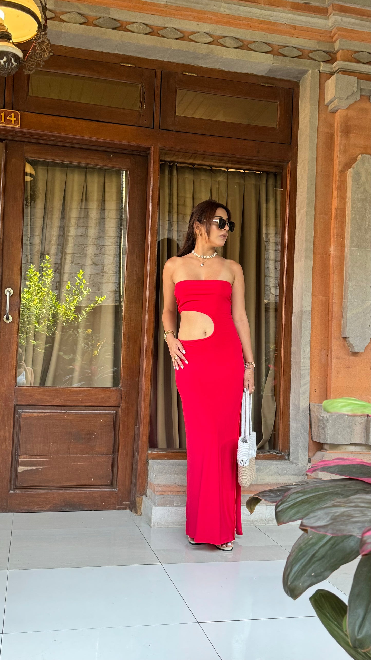 Lavaya Charlotte Dress