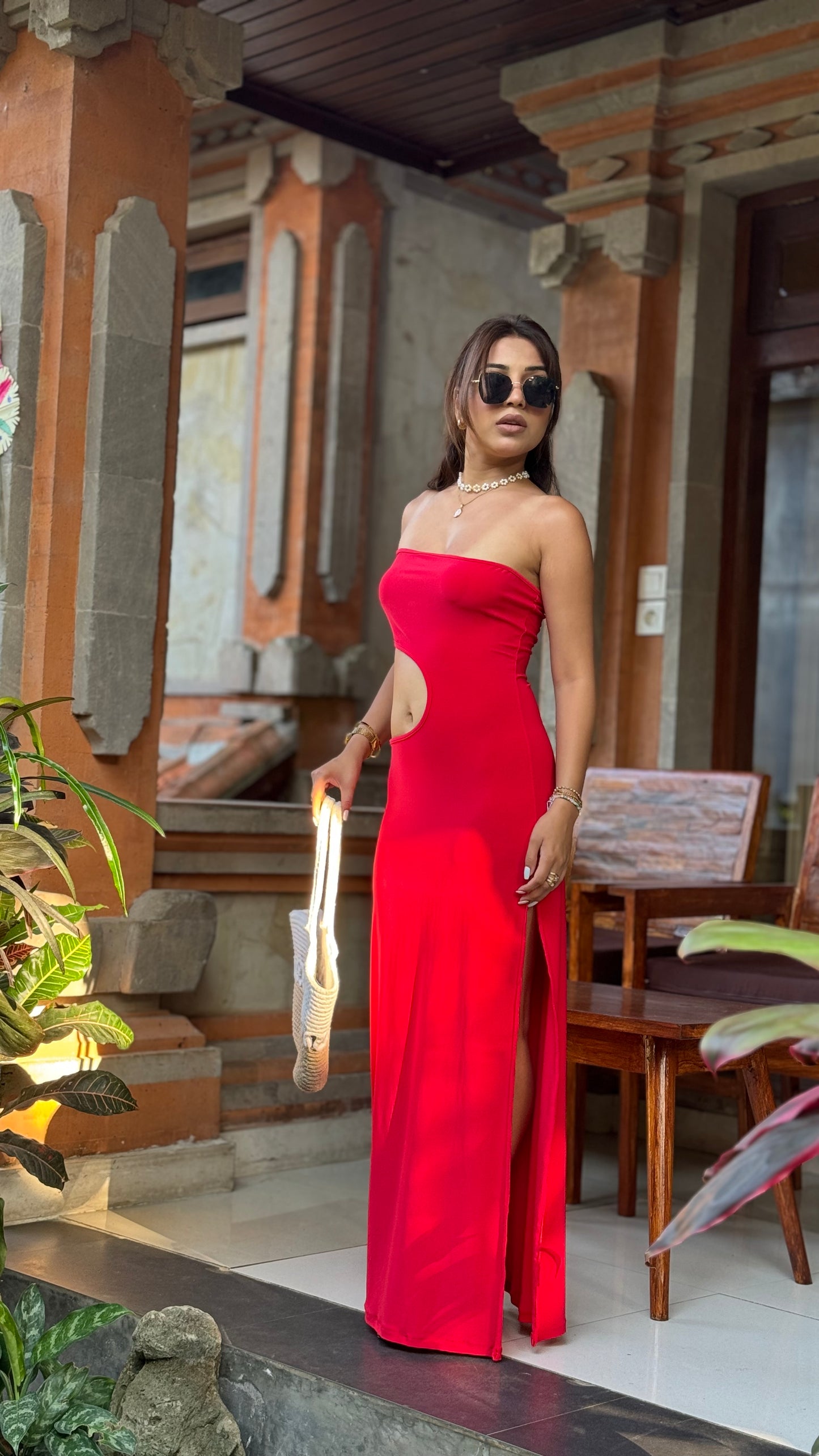 Lavaya Charlotte Dress