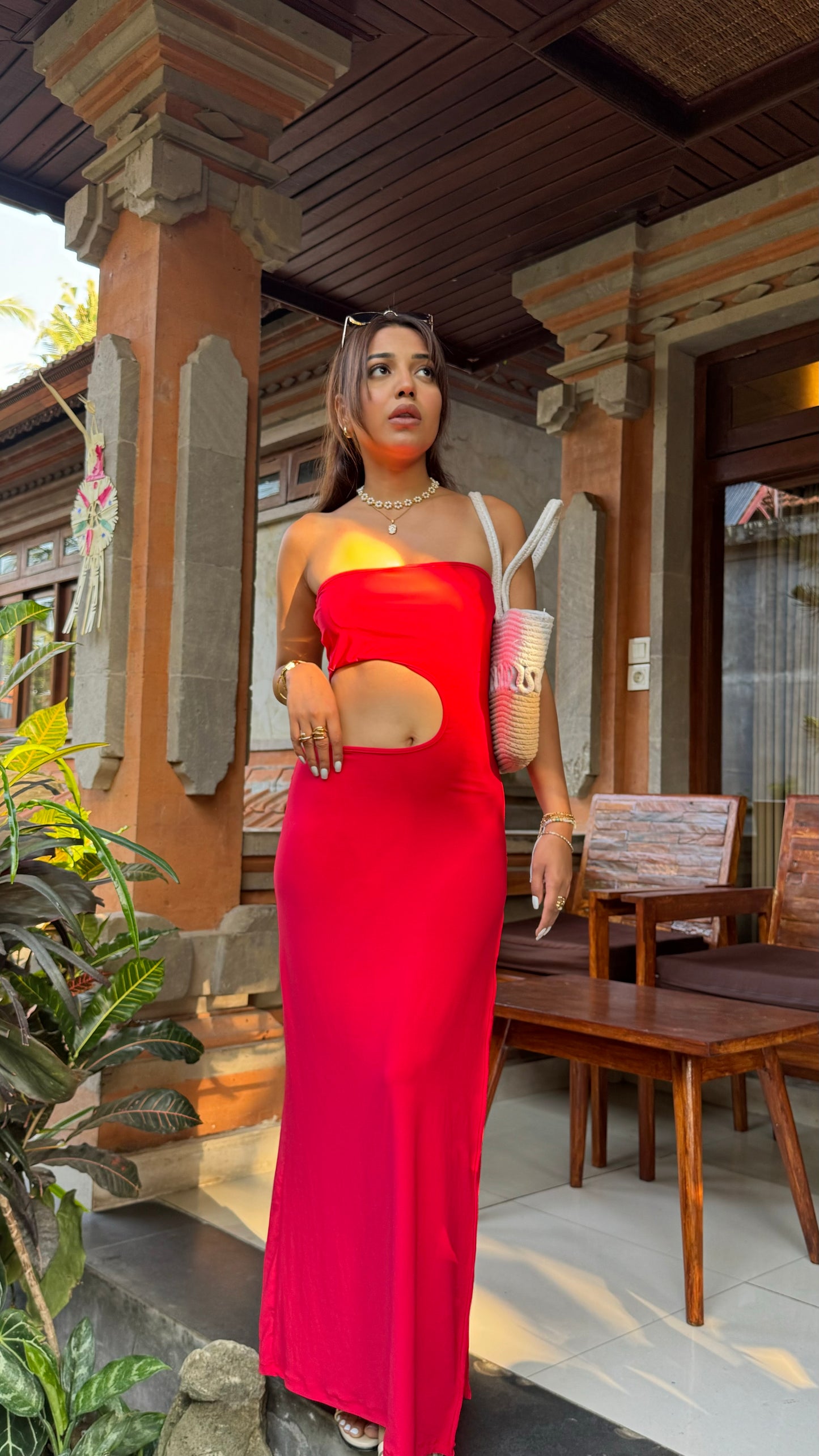 Lavaya Charlotte Dress