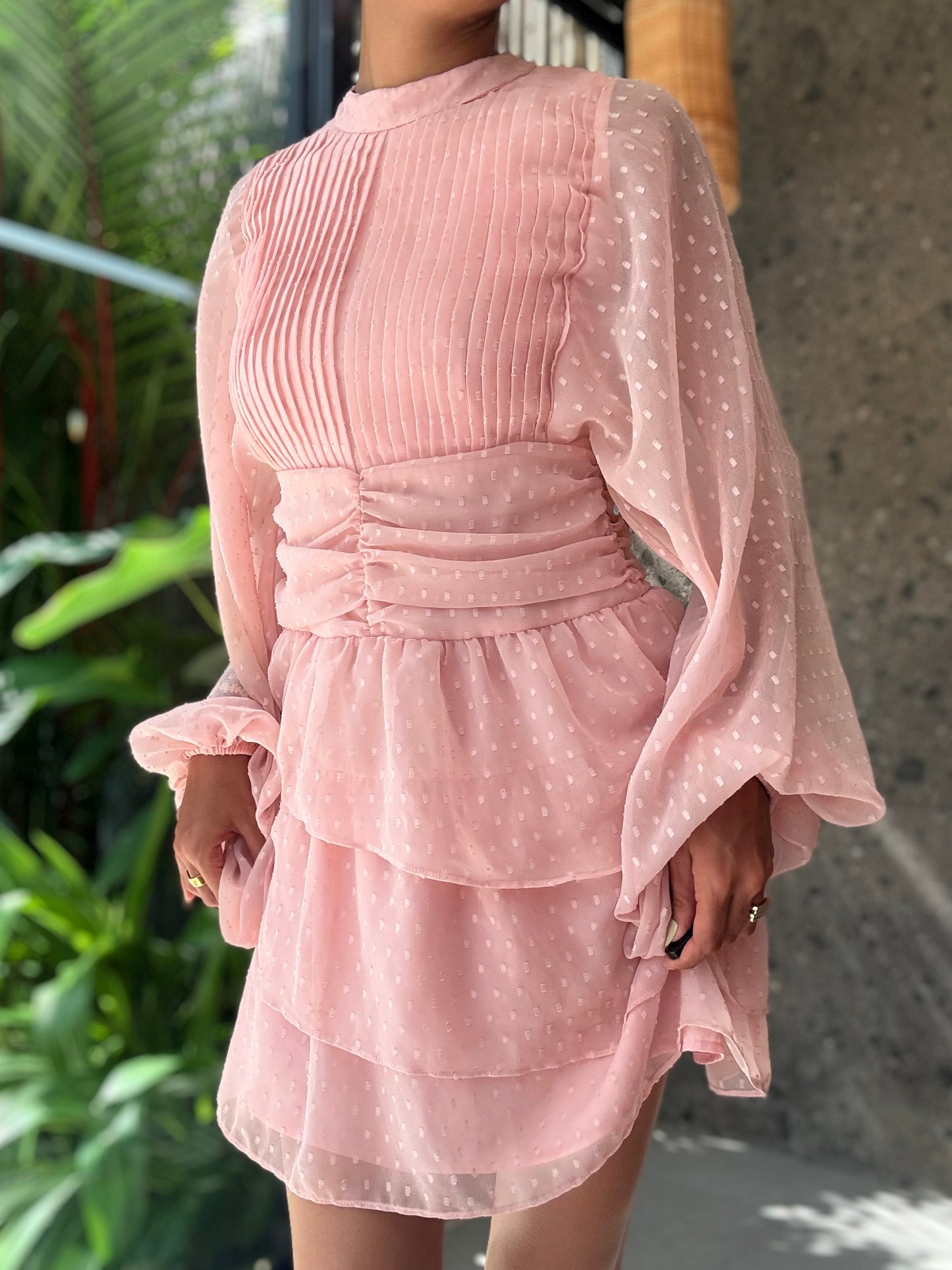 Lavaya Elara Blush Dress
