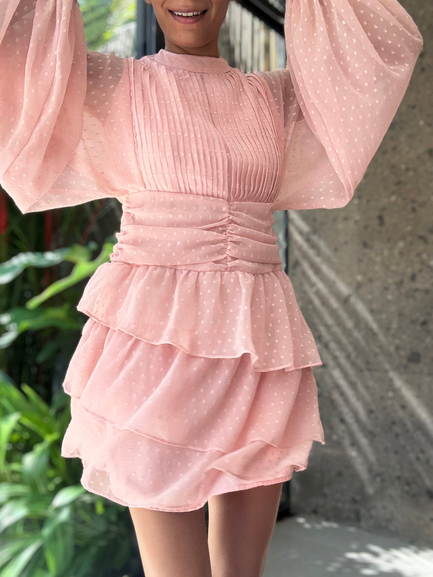 Lavaya Elara Blush Dress