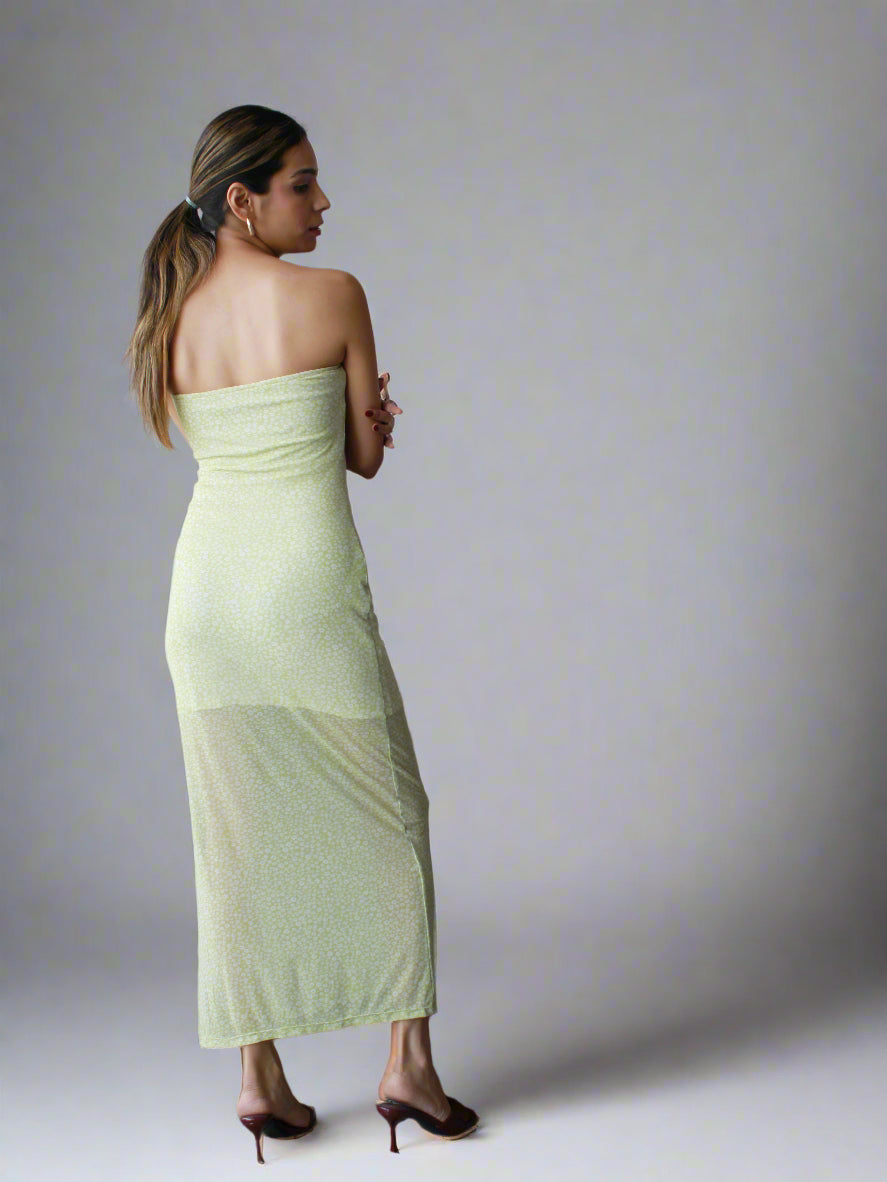 Lavaya Ditsy Dress