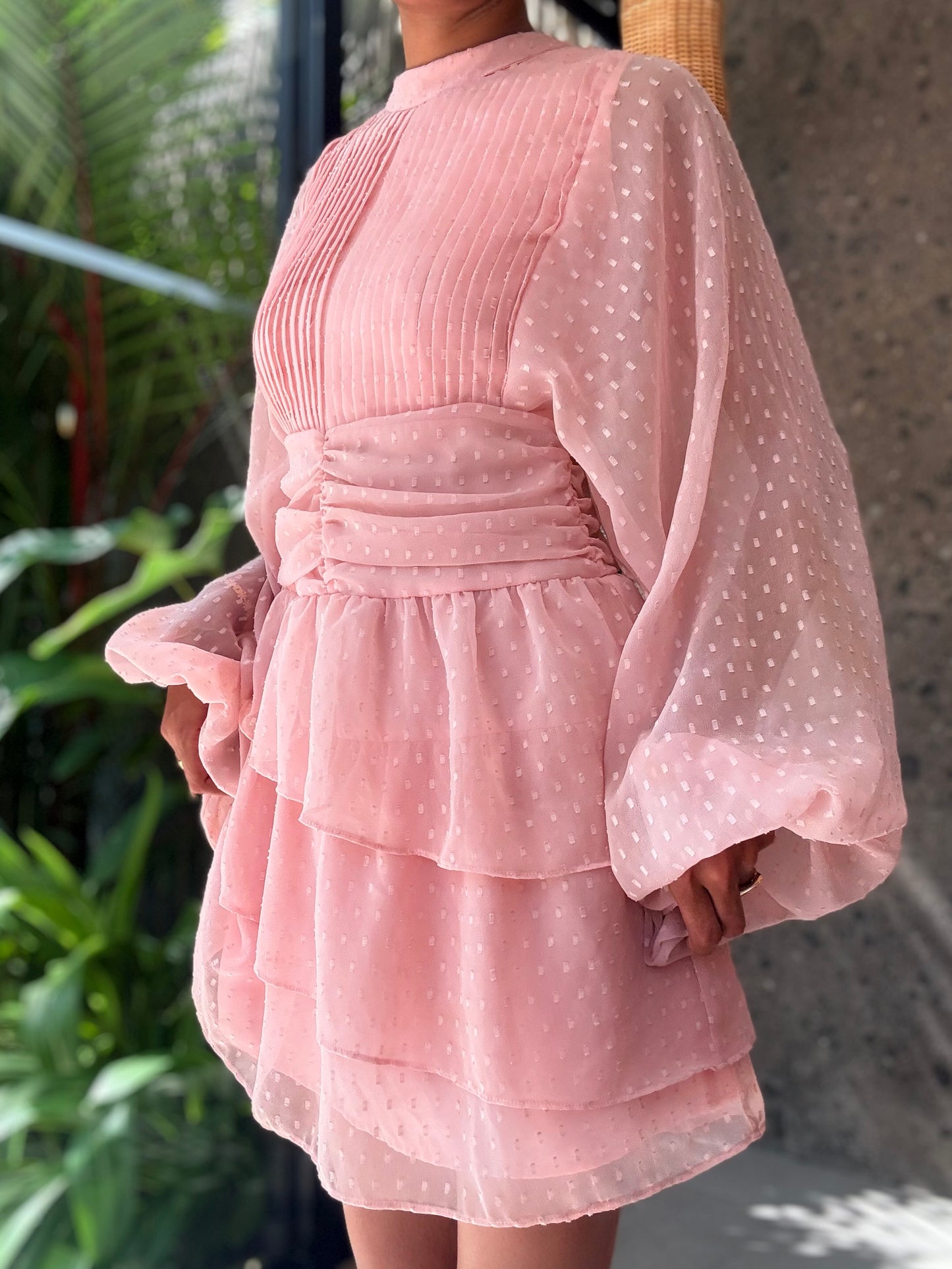 Lavaya Elara Blush Dress