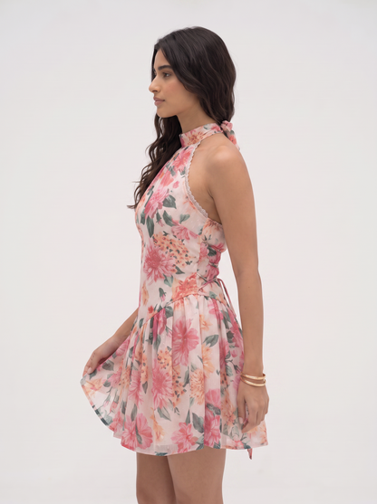 Lavaya Rosella Dress